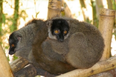 Madagaskar 2008 172