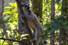Madagaskar 2008 178